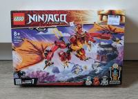 LEGO 71753 - Ninjago Napad ognjenega zmaja