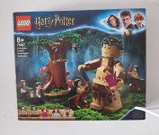 LEGO Harry Potter 75967 Prepovedani gozd: Srečanje Drápe in profesorja