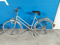 Kolo Rog sport