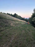 Brezplačno oddam košnjo trave