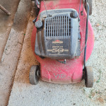 Dolnja paka1 Črnomelj