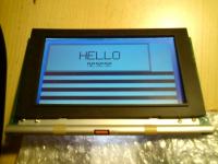 LCD 240x128 DATA VISION prikazovalnik