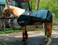 Profesionalna terapija za konje Bemer VET set za KONJE Račun Garancija