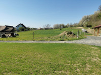 Oskrba / pašnik / paša / hlev za konj / kastrat / kobila