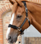 Prodam  Premier Equine oglavko