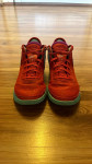 Nike Lebron James 20 številka 41
