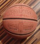 SPALDING NBA, Endorsed by the NBA