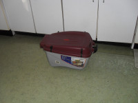 Prtljažnik za skuter