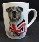 Skodelica Rachaelhae New Zeland