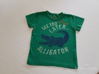 Fantovska majica Next, št. 92, zelena Aligator