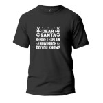 Božična - DEAR SANTA, BEFORE I EXPLAIN, HOW MUCH DO YOU KNOW?