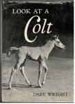Dare Wright, LOOK AT A COLT