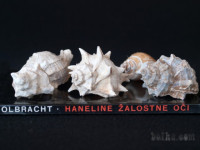 Ivan Olbrecht - Haneline žalostne oči