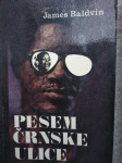 Pesem črnske ulice
