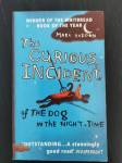 The Curious Incident of the Dog in the Night Time
(Mark Haddon)