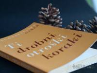 Ti drobni otroški koraki - Karel Grabeljšek