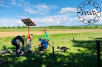 Električni pastir 1J + sončna garnitura- IZPOLNITE VSE NA ENEM MESTU !