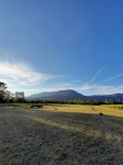 Prodam kvadratne bale otave
