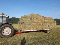 Prodam hribsko seno v kockah / bale kocke