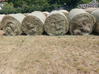 Seno v okroglih balah