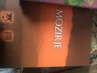 Mozirje, monografija