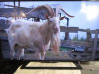 LED TV Philips 50"
