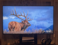 Sony Bravia