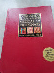 Dorland's illustrated medical dictionary 30th