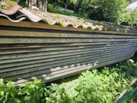 Les rdeči bor