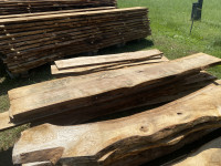 HRAST - plohi in dile