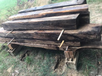 HRASTOVI TRAMOVI RAZLIČNIH DIMENZIJ (STAROST CCA. 100 LET)