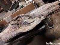 Les akacije, star 30 let, suh, umirjen in naravno oblikovan