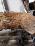 Suha korenina oreha, očiščena, 90x80x50 cm približno