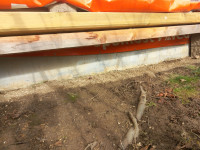 TRAMI  15cm x10  cm  ,dol.  4m