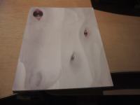 BELA ČREDA, BELA JATA 1998-2003 M. JAKŠE SAMOZALOŽBA 2006