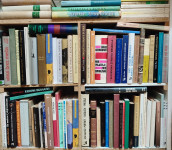 LITERARNA TEORIJA, DOMAČA IN SVETOVNA KNJIŽEVNOST (VEČ KNJIG)