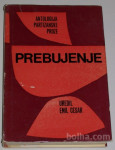 PREBUJENJE – antologija partizanske proze