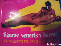 FIGURE VENERIS V BARVAH