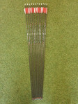 puščice Skylon Novice Carbon 700