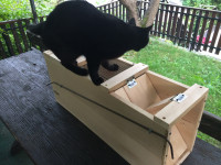 Past za mačke in pse