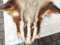 Koža jazbeca ustrojena po starem postopku