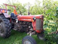 Prodam traktor Massey Ferguson 65