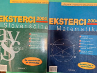 EKSTERCI MATEMATIKA 2004