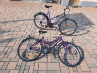 Dva kolesa ROG Mountain, 26 col, 18 p., skupaj za 45 eur, 041/323-530