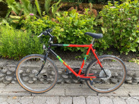 Gorsko kolo Rog Mountain Shimano zelo lepo ohranjeno