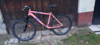Ktm moško
