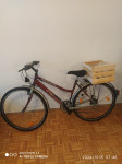 Mestno kolo 28 col košarico