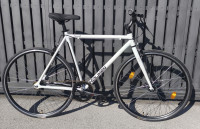 Mestno kolo Fixie