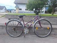 Mestno kolo