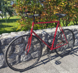 Moško kolo Bottecchia